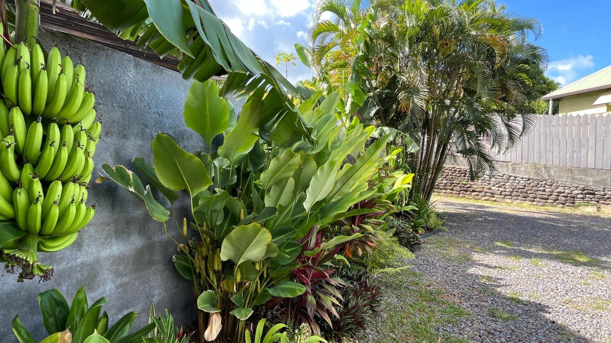 Ononui Lodge Airport, Ocean-View, Private Bathroom And Balcony, Free Wifi And Parking, On-Site Car Rental Faaa Exterior foto